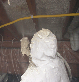 Des Moines ID crawl space insulation